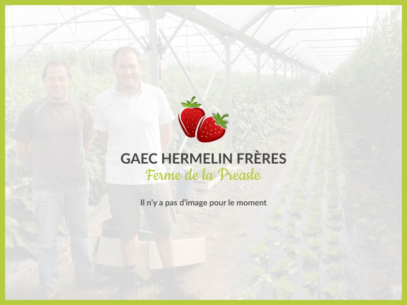 INFORMATION MARATHON