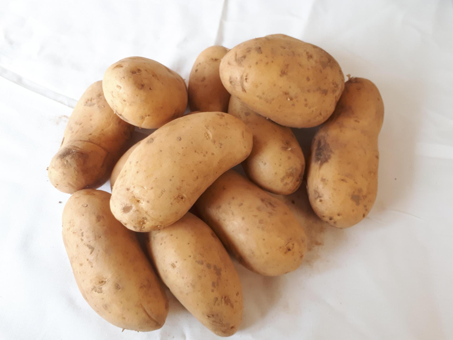 Nom du produit