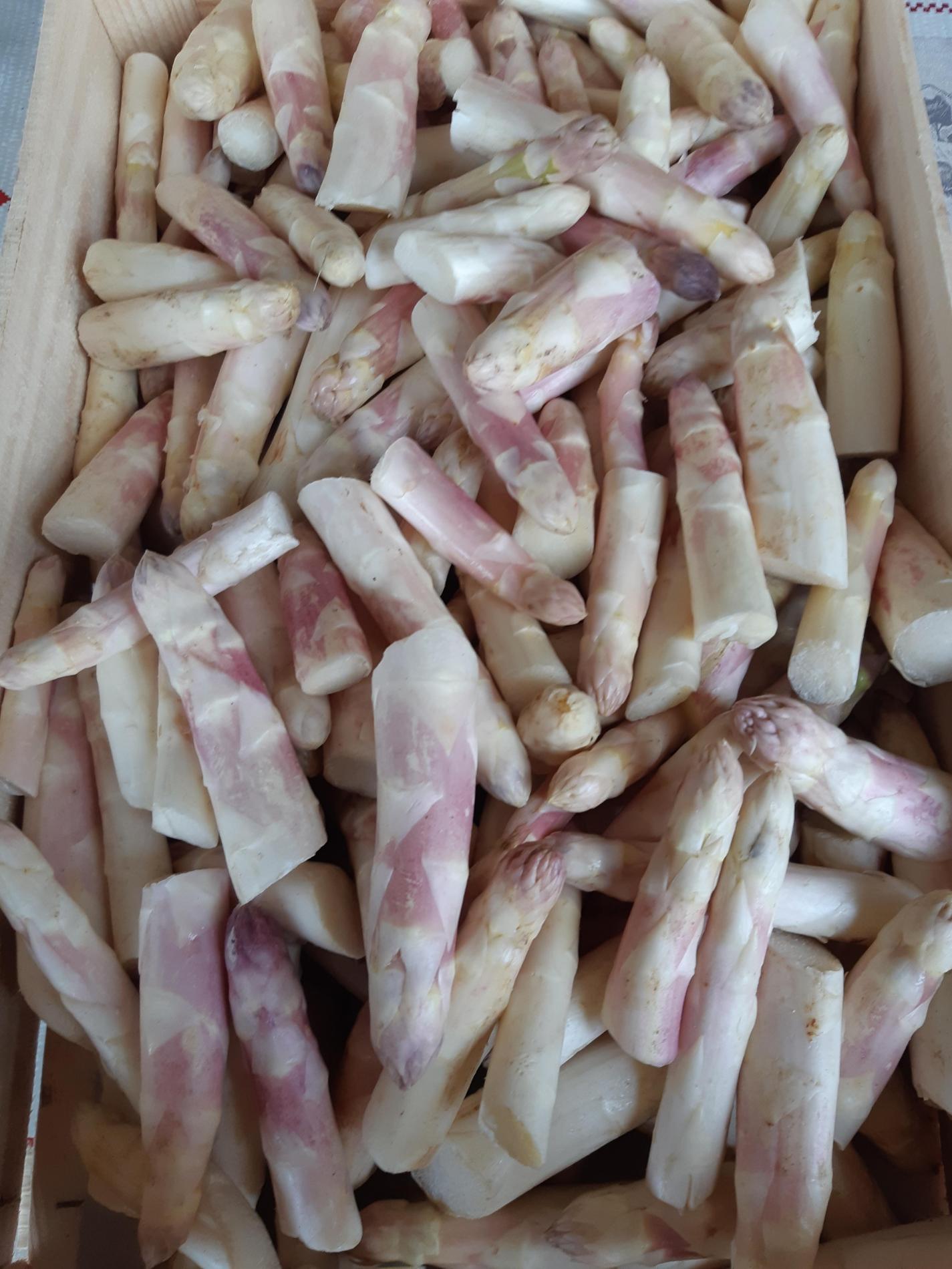 POINTES D' ASPERGES