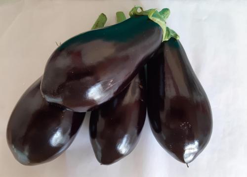 Nom du produit