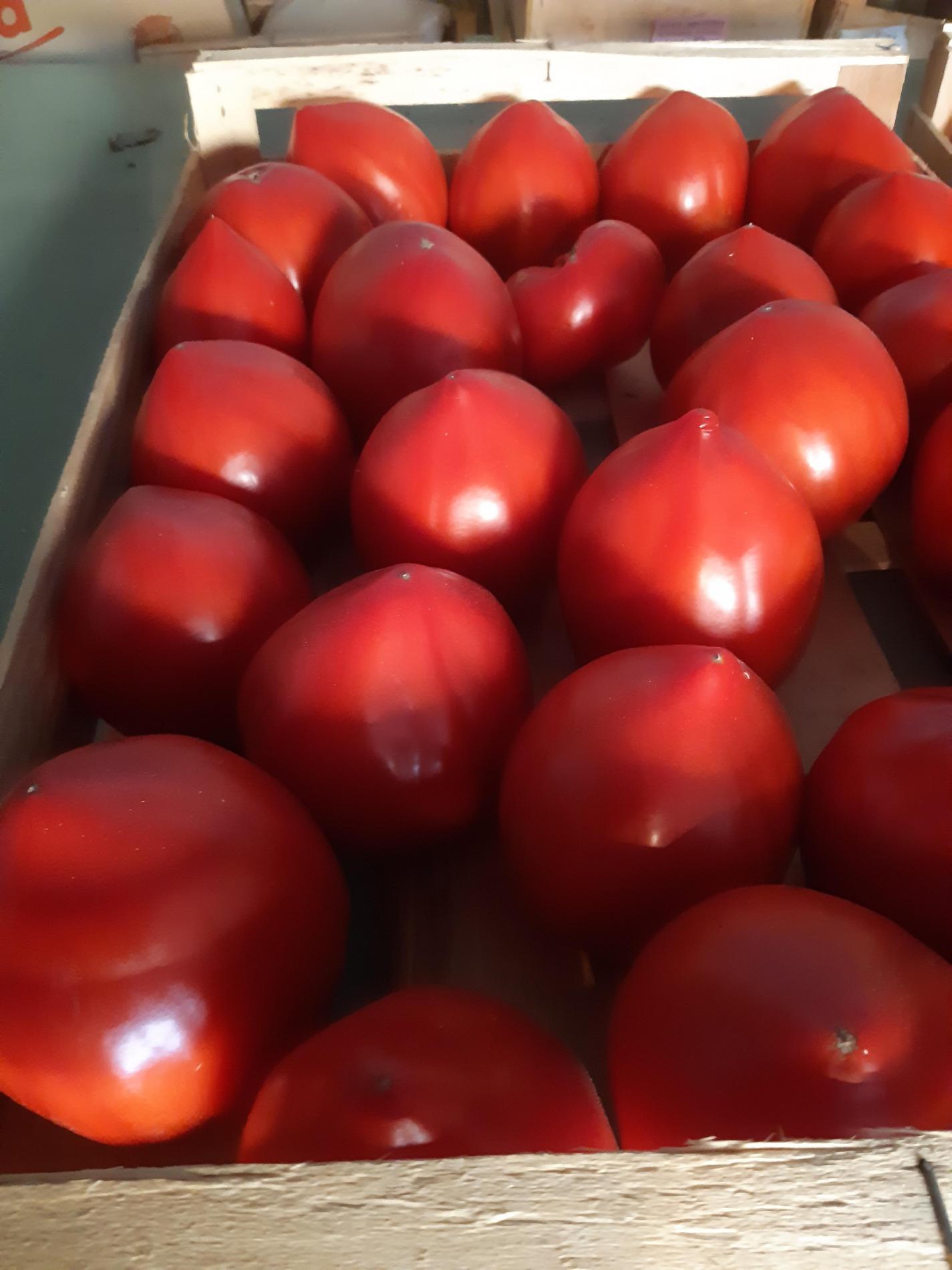 Tomates forme Coeur
