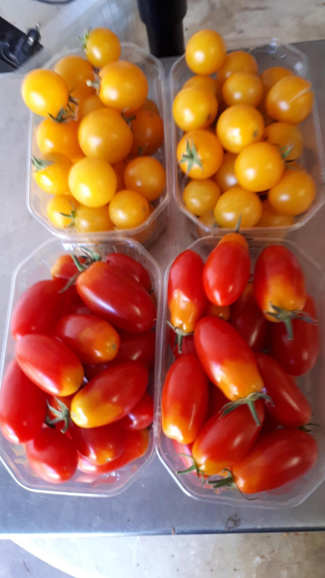 Nom du produit