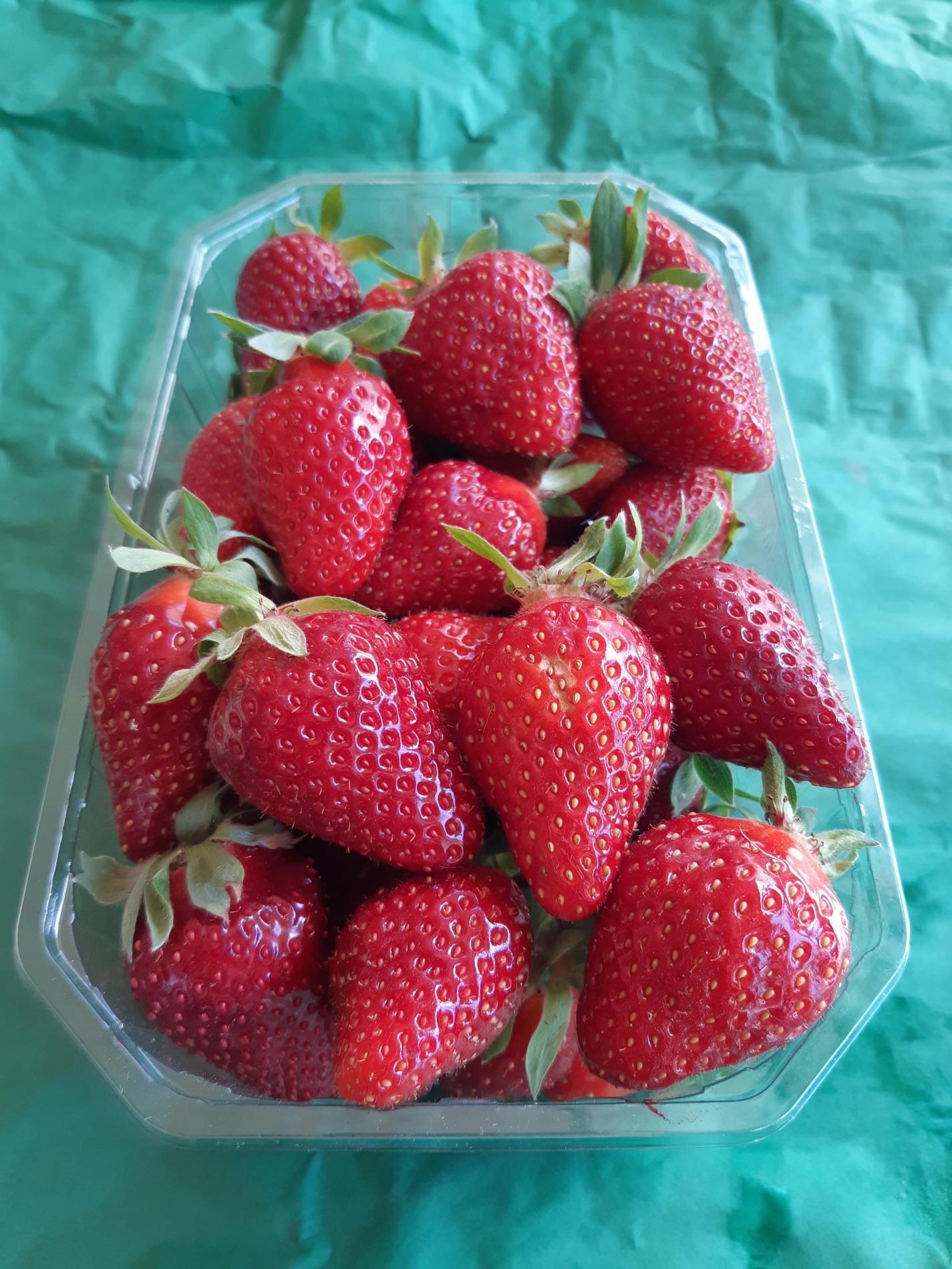 FRAISES JOLY / SIBILLA