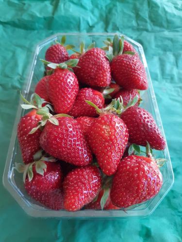 Nom du produit