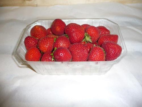 Nom du produit