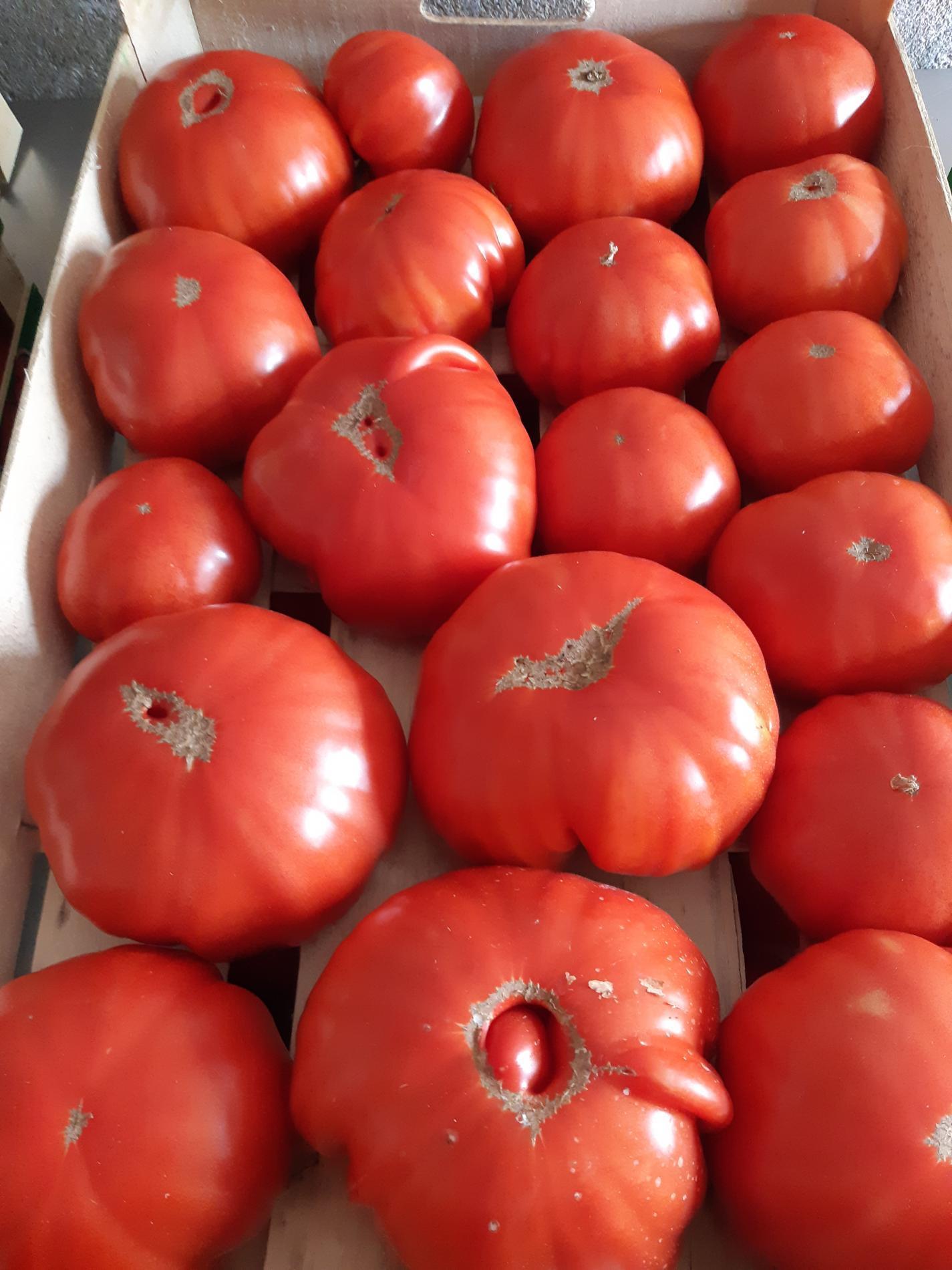 Nom du produit