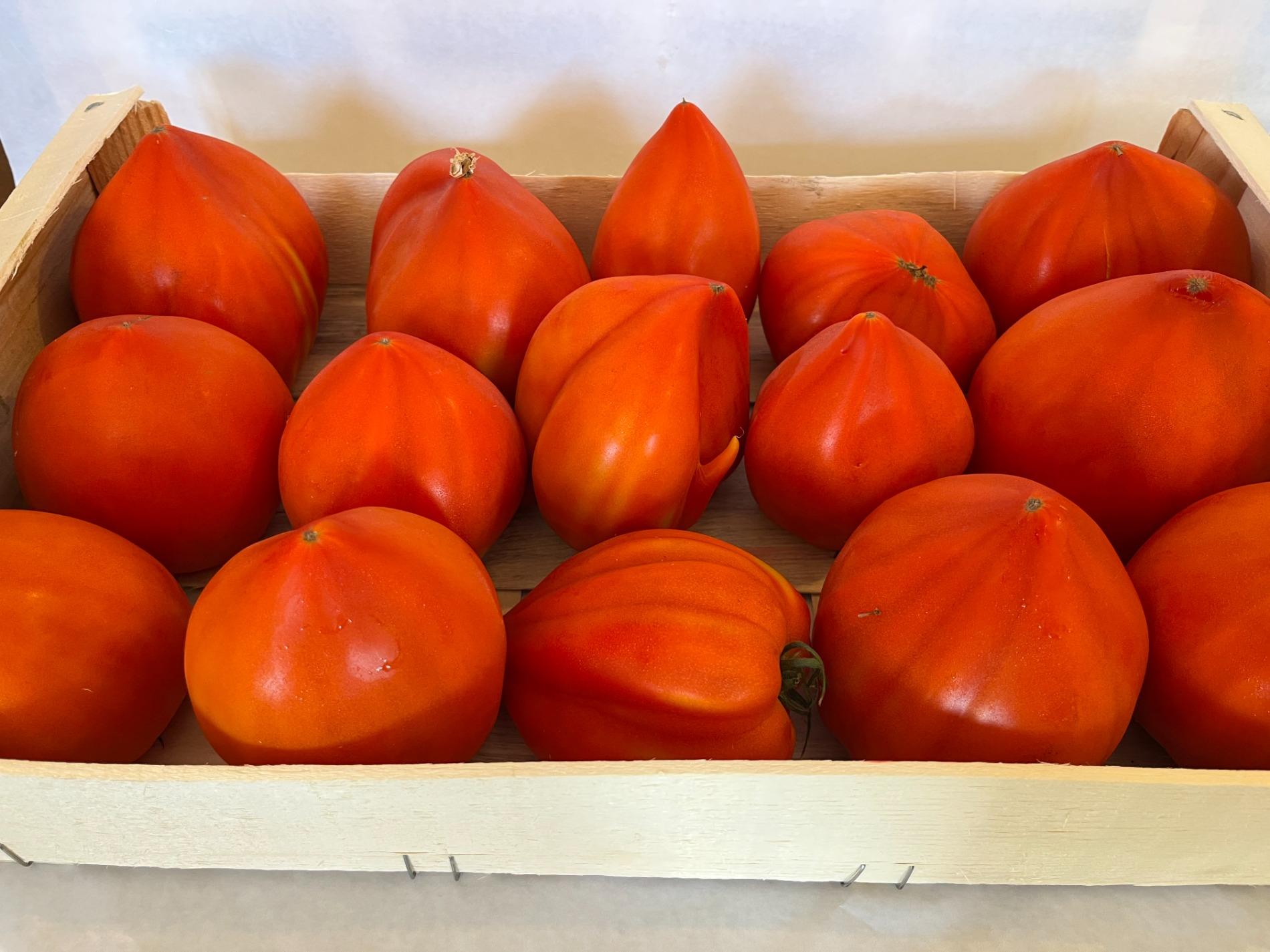 PLATEAU  TOMATE FORME COEUR 5 KG